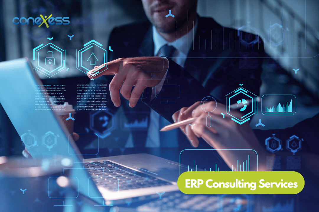 Tư vấn triển khai ERP